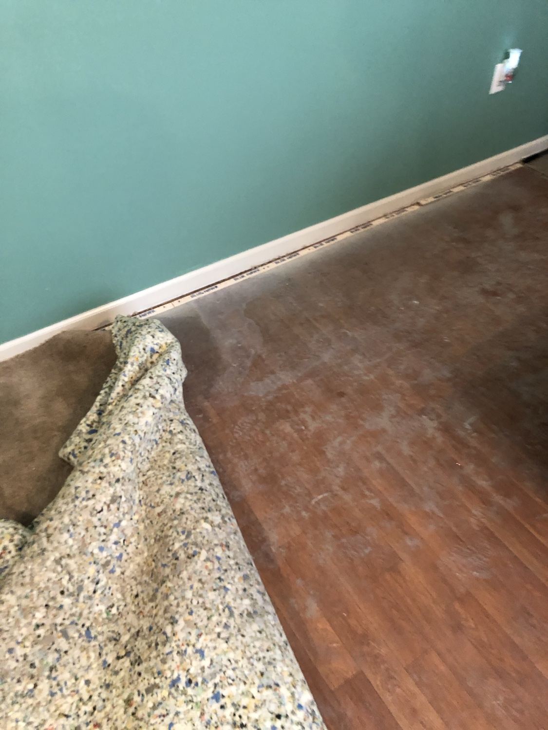 Old carpet torn out before new flooring installation