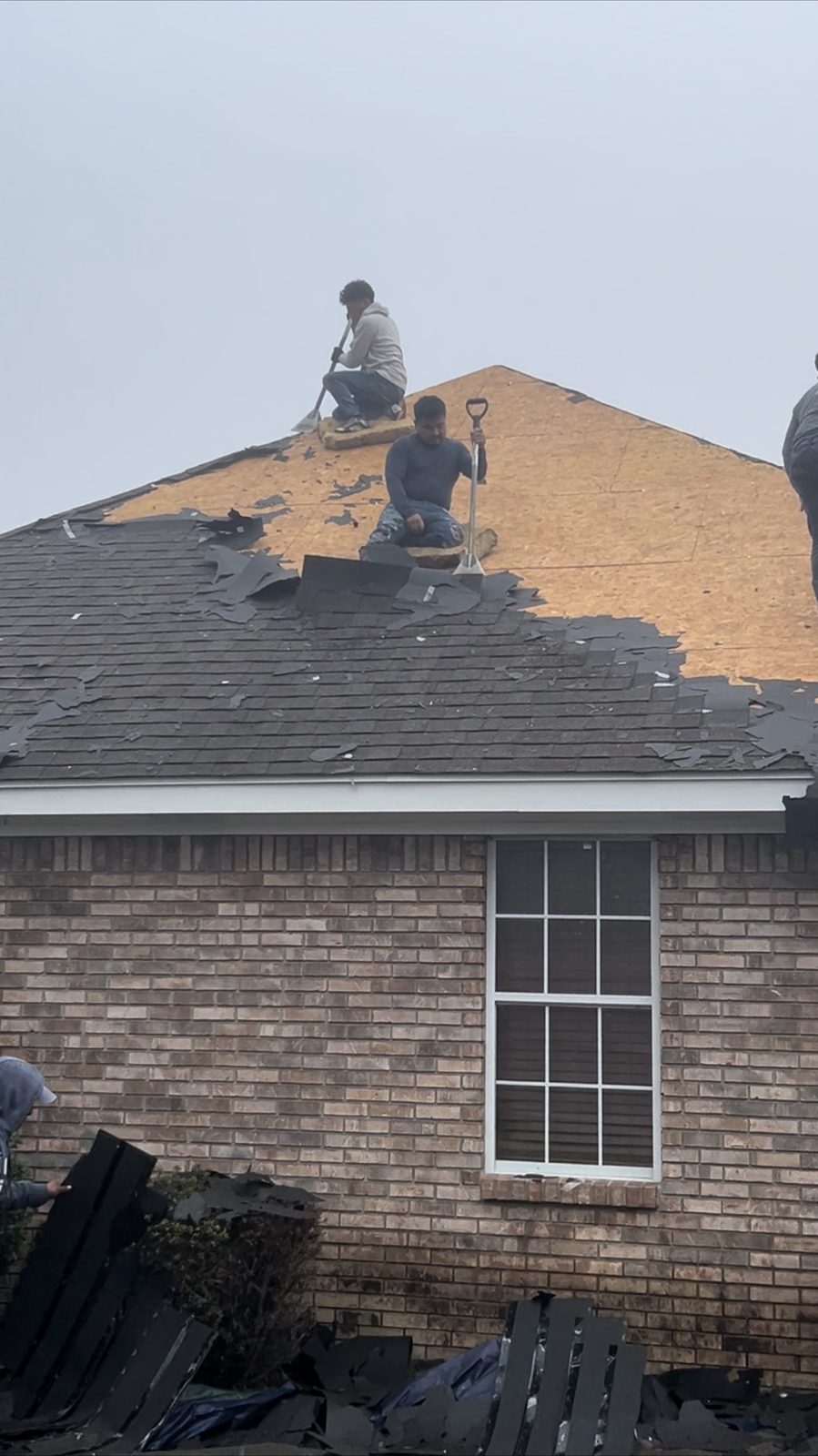 Crew tearing off old shingles down to the deck