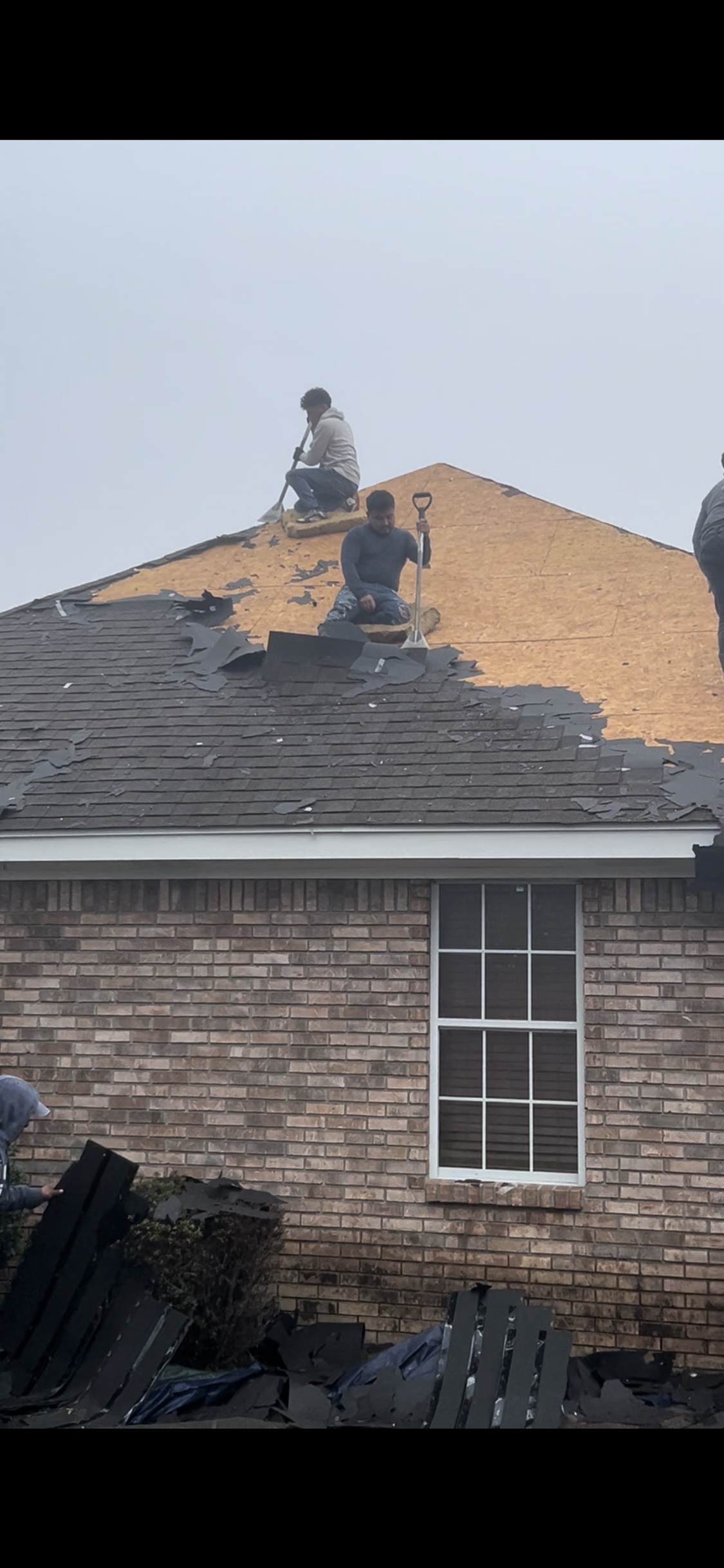 Roof tear-off in progress with crew removing old shingles down to the deck